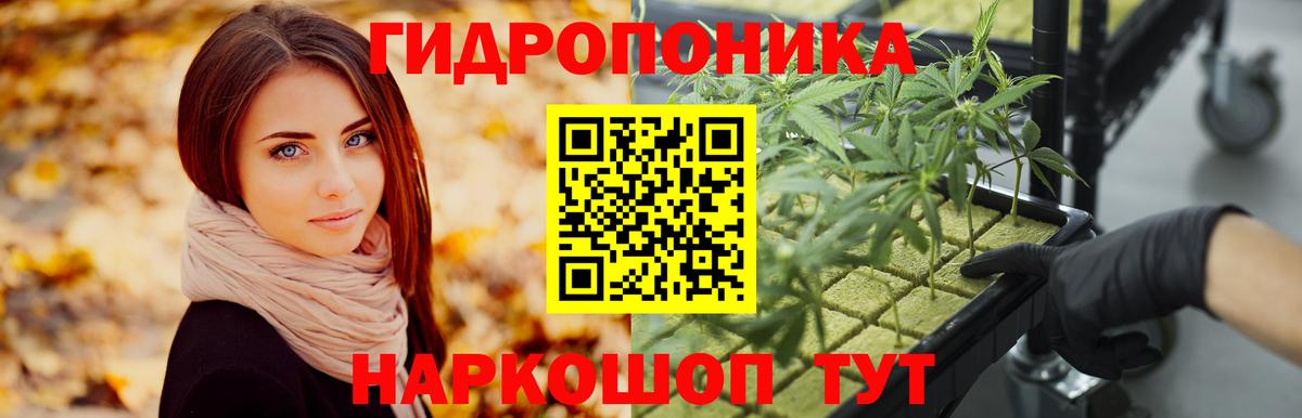 Канабис семена Кандалакша